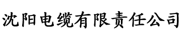 小婷又软又嫩又紧水又多的软件电缆厂logo